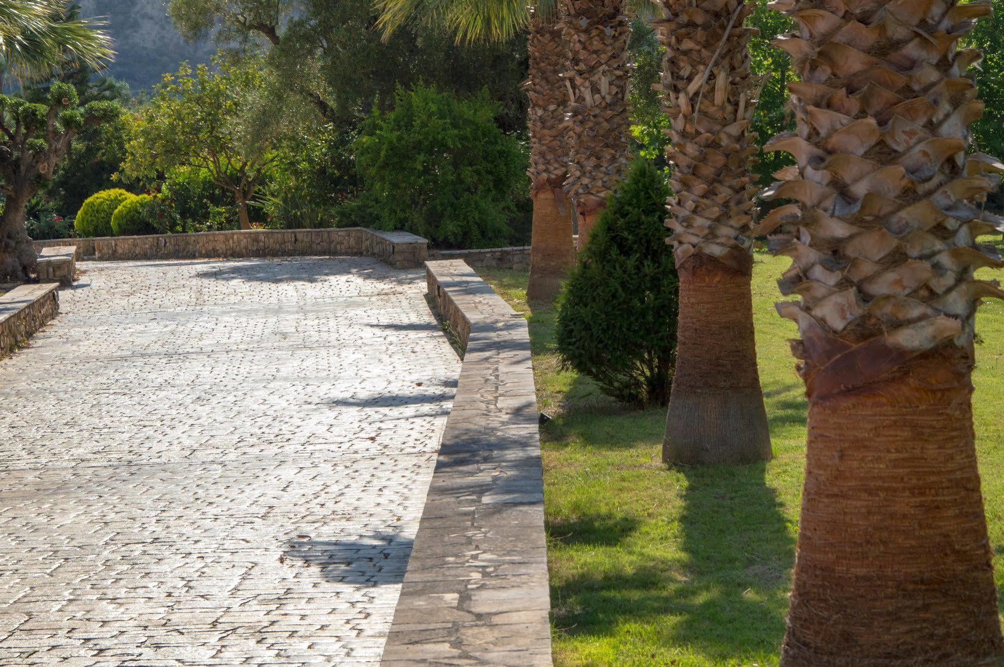 Leone Luxury Villas Kalamákion Exterior foto